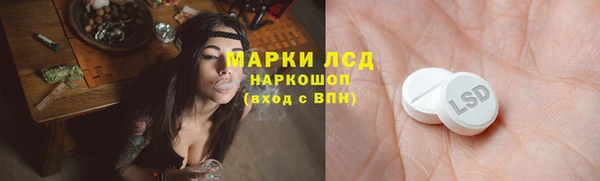 стаф Лабытнанги
