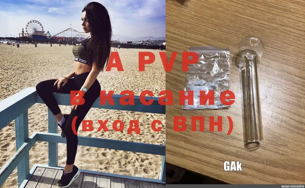 стаф Лабытнанги